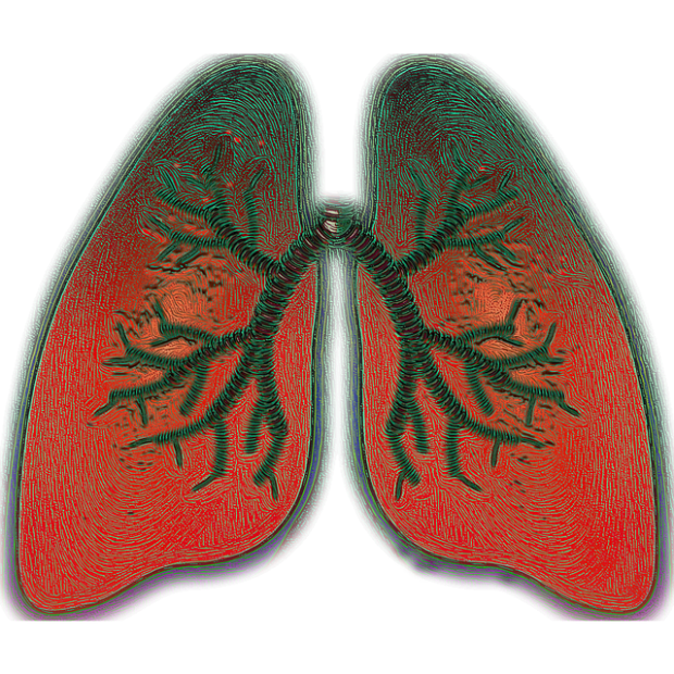 A picture containing text

Description automatically generated